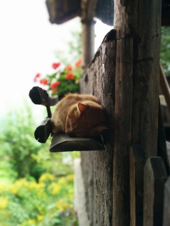 Unterbrunnerhof Lejlighed Lana Værelse billede